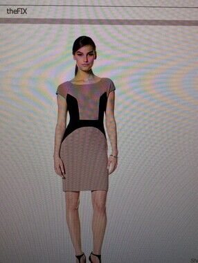 "New" Eva Franco Taupe and Black Colorblock Mini Dress